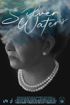 Silver Waters