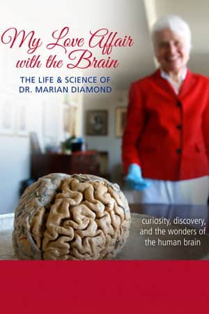 My Love Affair with the Brain