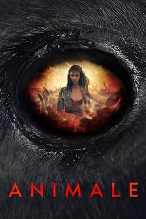 Animale