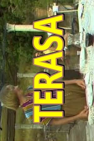 The Terrace