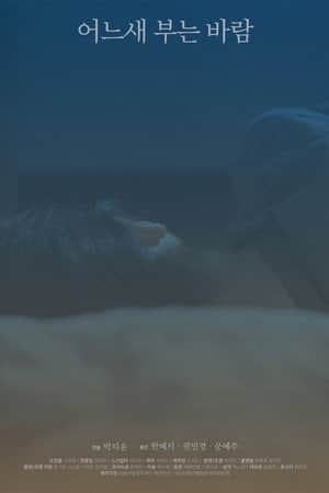 The Consolation of the Wind