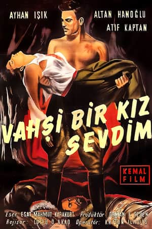 Vahşi Bir Kız Sevdim