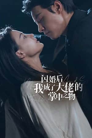 闪婚后我成了大佬的掌中之物
