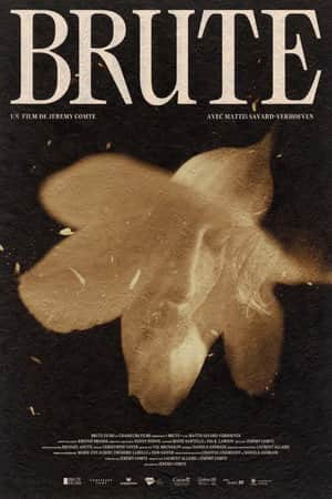 Brute