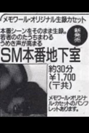 SM Basement