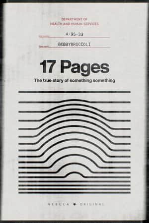 17 Pages