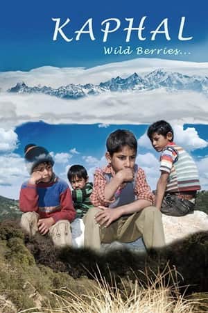Kaphal: Wild Berries