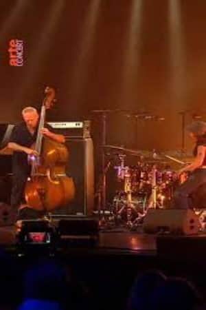 Avishai Cohen Trio Leverkusener Jazztage 2024