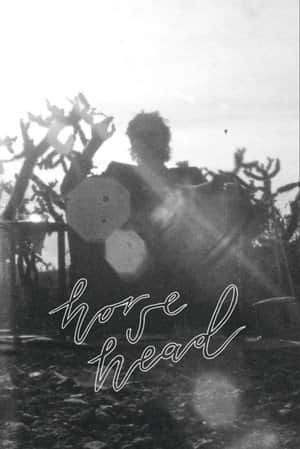 Horse Head