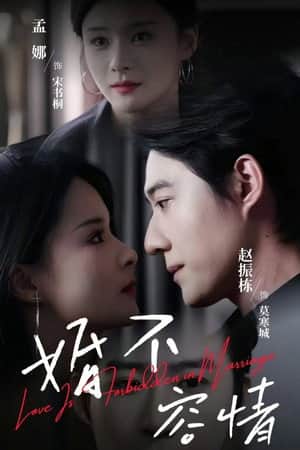 婚不容情