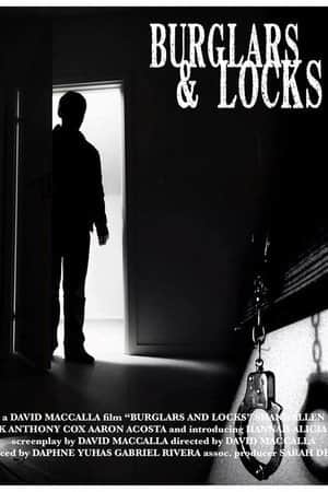 Burglars & Locks