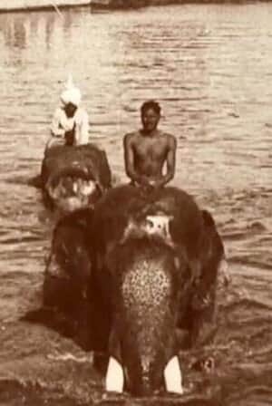 Edward Prince of Wales' Tour of India: Indore, Bhopal, Gwalior and Delhi