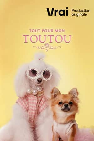 Tout pour mon toutou
