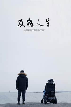 Imperfect Perfect Life