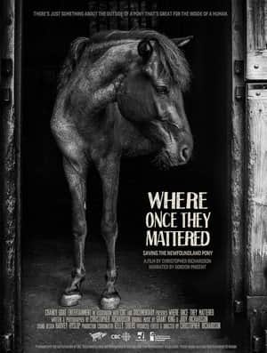 Where Once They Mattered