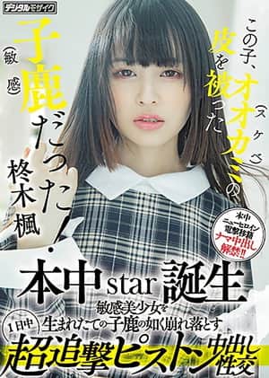 この子、オオカミ(スケベ)の皮を被った子鹿（敏感）だった！ 本中star誕生 敏感美少女を生まれたての子鹿の如く崩れ落とす1日中超追撃ピストン中出し性交