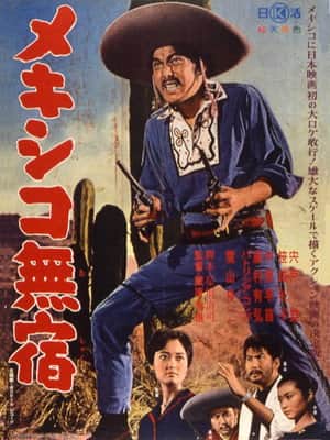 Mexico Drifter