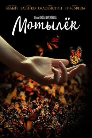 The Moth