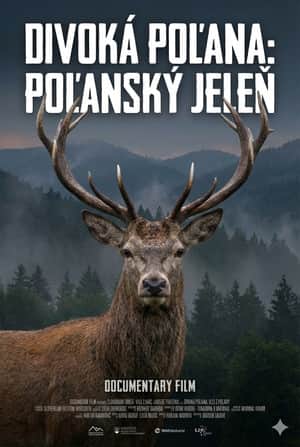 Divoká Poľana: Poľanský jeleň