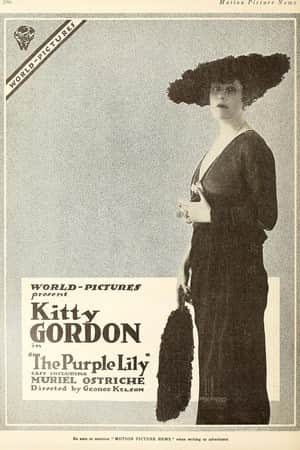 The Purple Lily