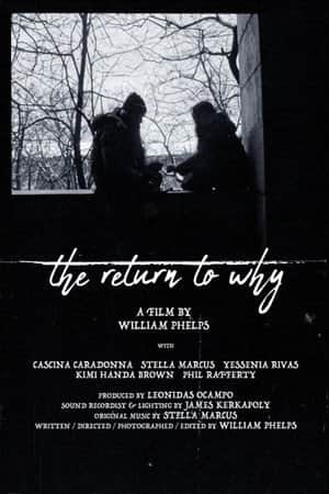 The Return to Why