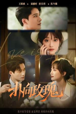 扑向玫瑰
