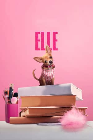 Elle