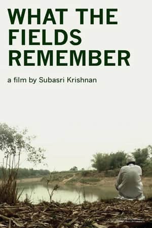 What the Fields Remember