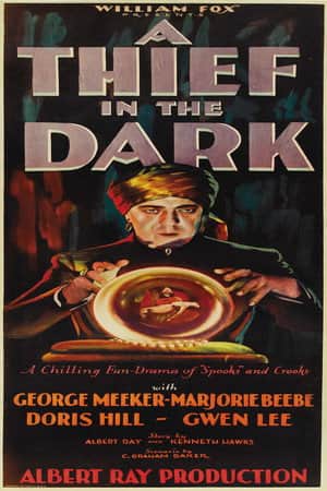 A Thief in the Dark