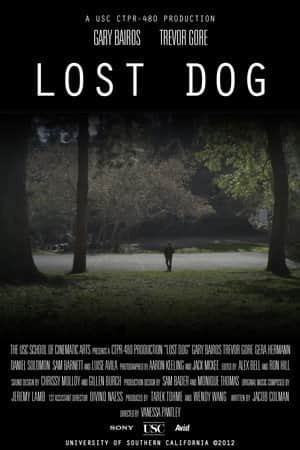 Lost Dog