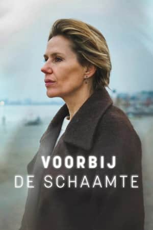 Voorbij de schaamte