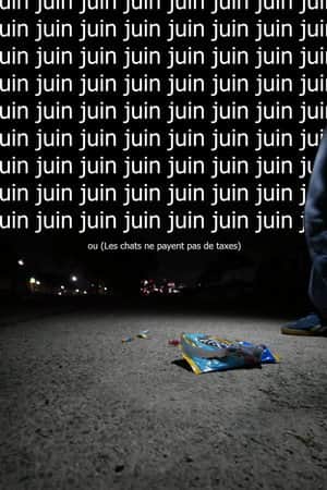 Juin ou  (Les chats ne payent pas de taxes)