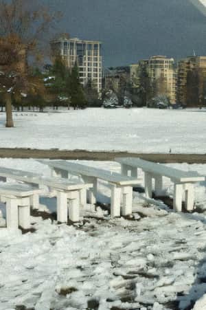 Something like Hyde Park