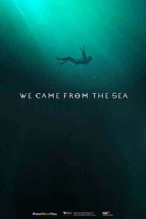 We Came Frome The Sea