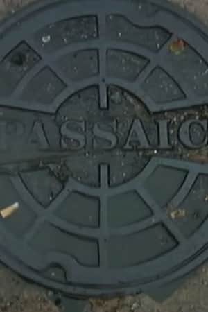 Passaic Mosaic