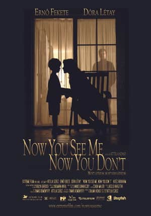 Now You See Me, Now You Don't