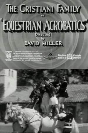 Equestrian Acrobats
