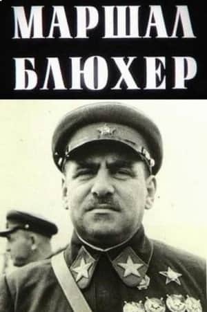 Marshal Blucher: A Portrait Against the Background of an Epoch