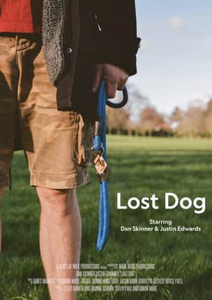 Lost Dog