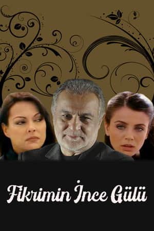 Fikrimin İnce Gülü