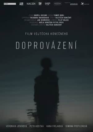 Doprovázení
