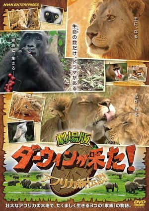 Darwin is here! new african legend