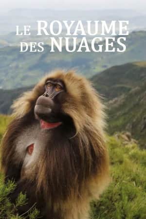 Le royaume des nuages