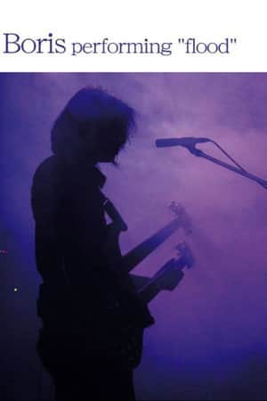 Boris performing flood
