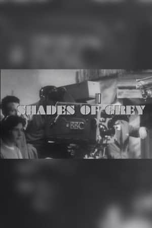 Shades of Grey