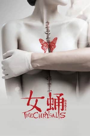 The Chrysalis