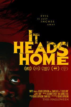It Heads Home