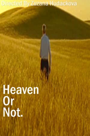Heaven Or Not