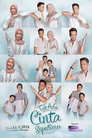 Tak Ada Cinta Sepertimu