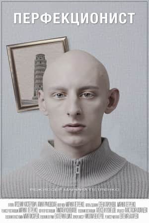 Перфекционист